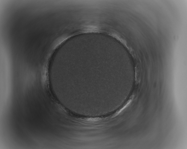 X0000101951453200807251125