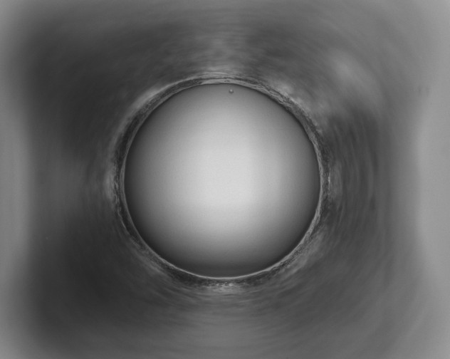 X0000101951454200807251125