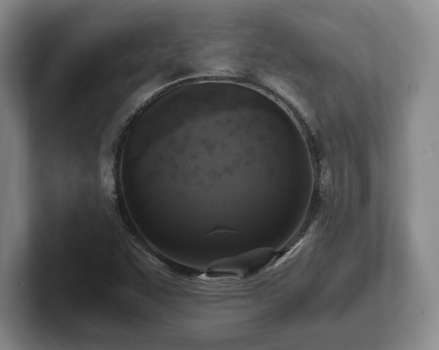 X0000101951455200807251125