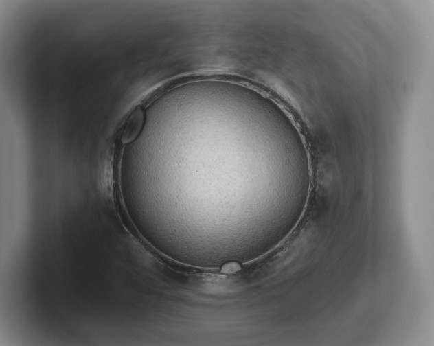 X0000101951456200807251125