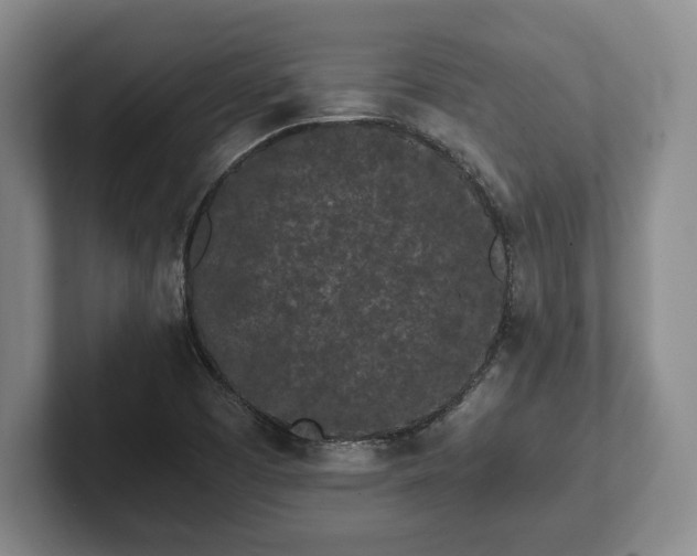 X0000101951457200807251125