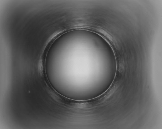 X0000101951458200807251125