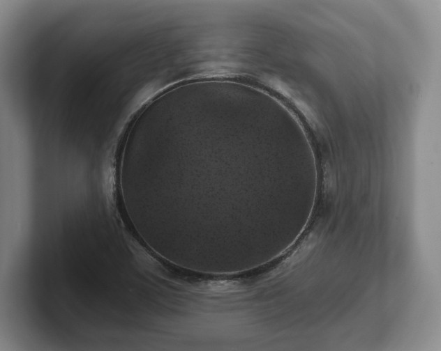 X0000101951459200807251125