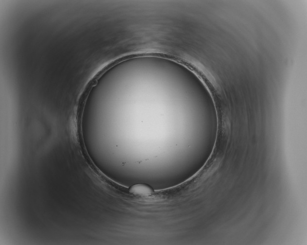 X0000101951460200807251125