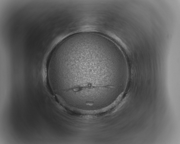 X0000101951461200807251125