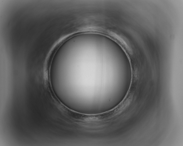 X0000101951462200807251125