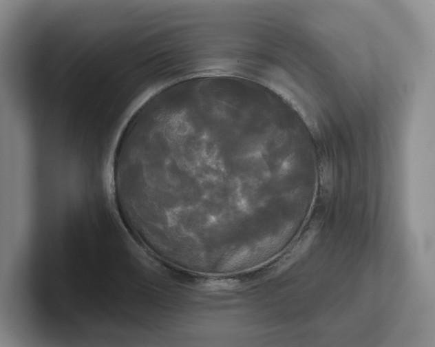 X0000101951466200807251124