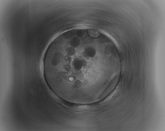 X0000101951467200807251124