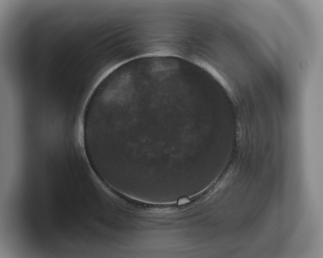 X0000101951468200807251124