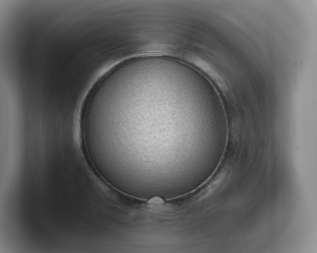 X0000101951469200807251124