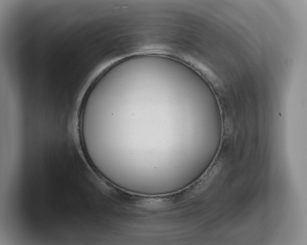 X0000101951470200807251124