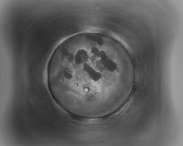 X0000101951471200807251124