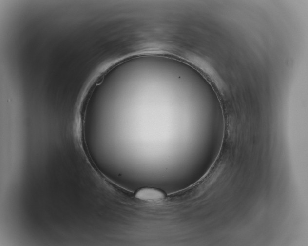 X0000101951472200807251124