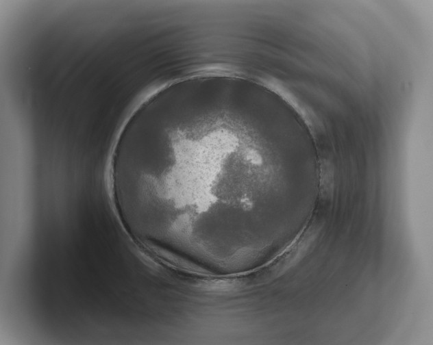 X0000101951474200807251124