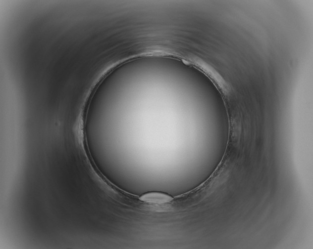 X0000101951476200807251124