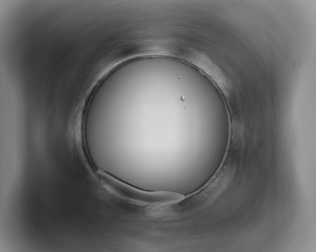 X0000101951477200807251124