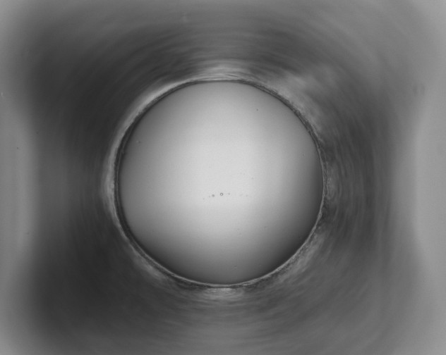 X0000101951478200807251124