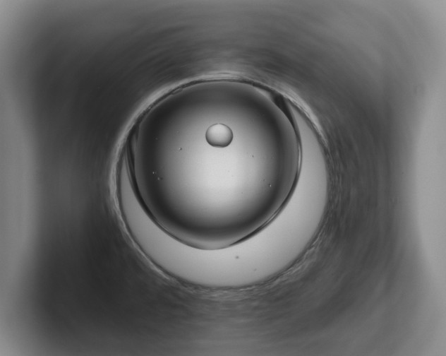 X0000101951480200807251124