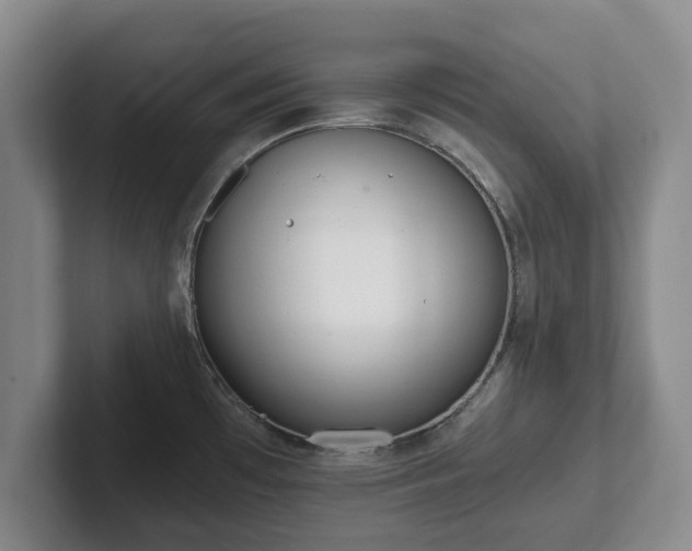 X0000101951481200807251124