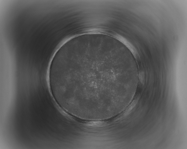 X0000101951482200807251124