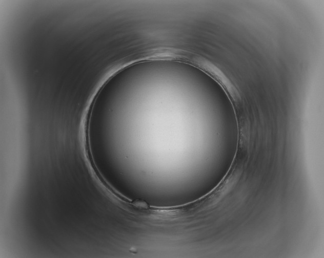 X0000101951483200807251124