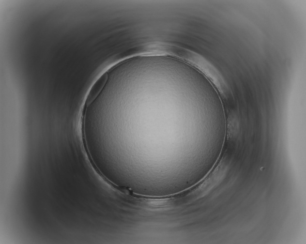 X0000101951484200807251124