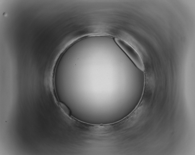 X0000101951485200807251124