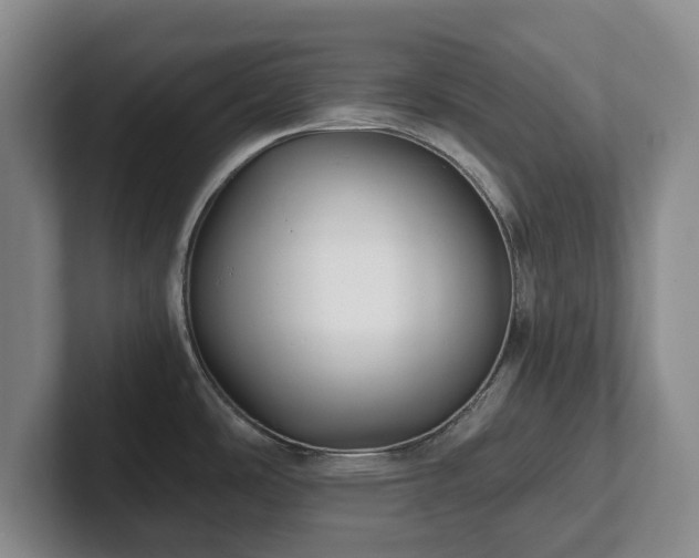 X0000101951486200807251124