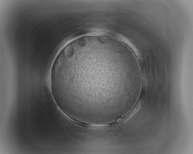 X0000101951487200807251124