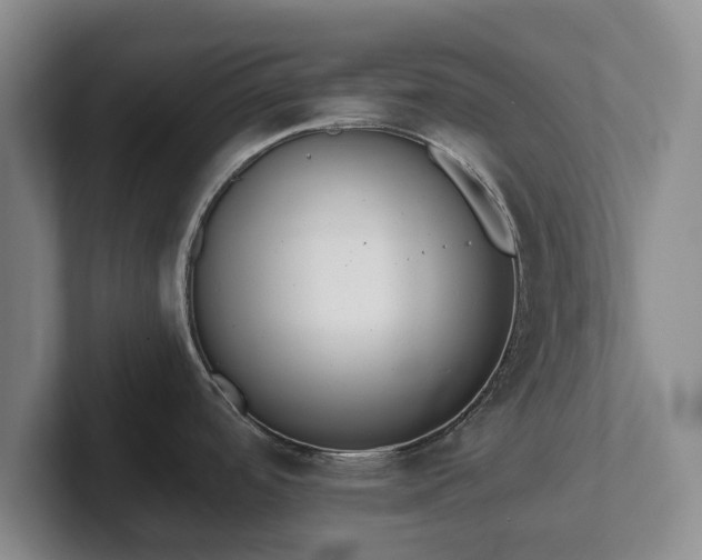 X0000101951488200807251124