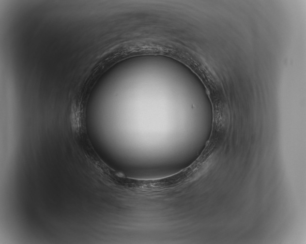 X0000101951490200807251124