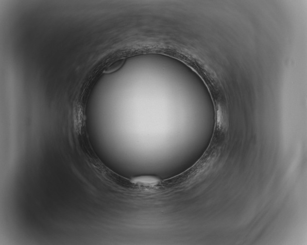 X0000101951492200807251124