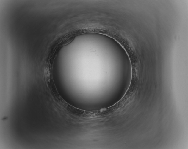 X0000101951493200807251124