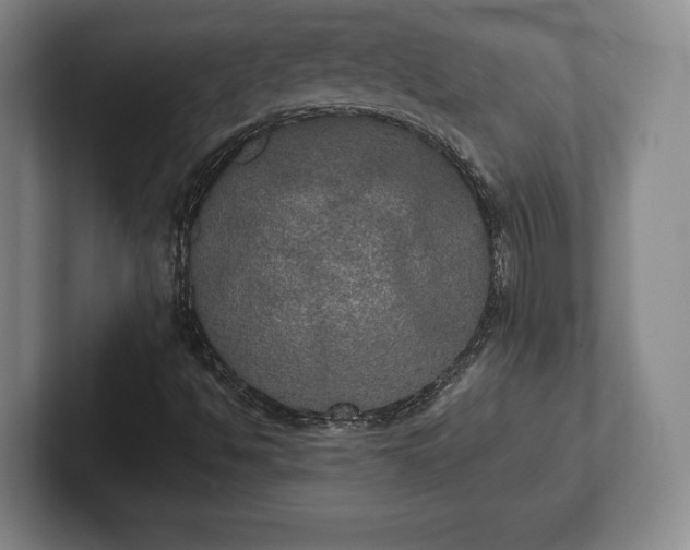 X0000101951494200807251124