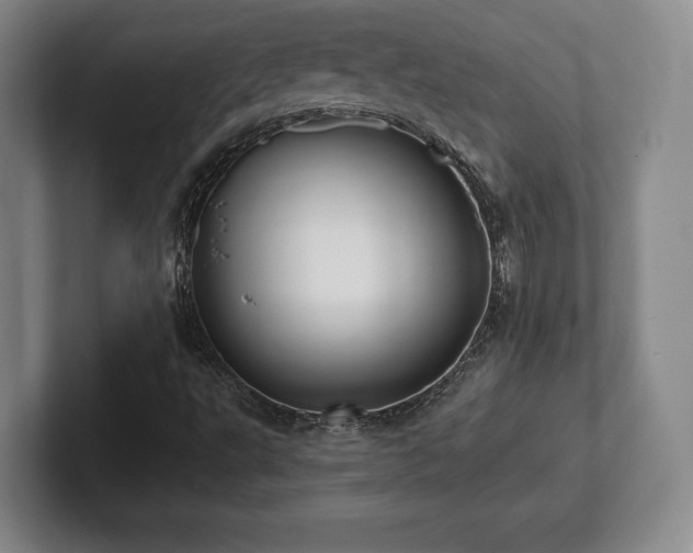 X0000101951495200807251124