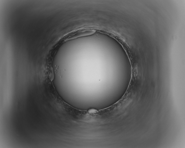 X0000101951496200807251124