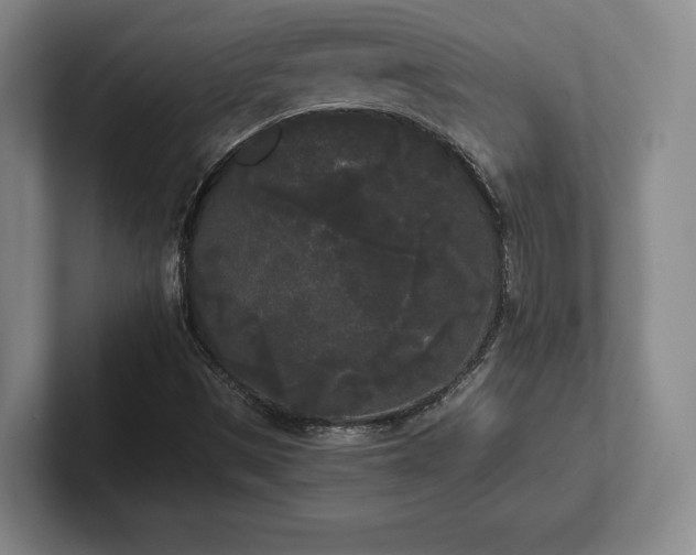 X0000101951497200807251124