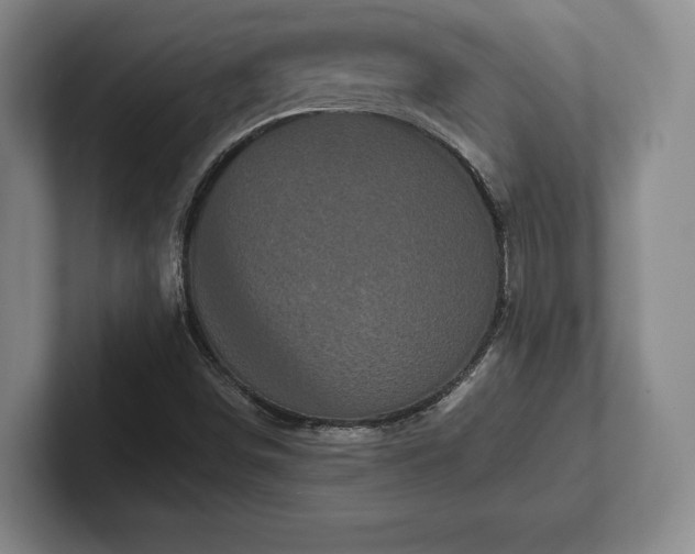 X0000101951498200807251124