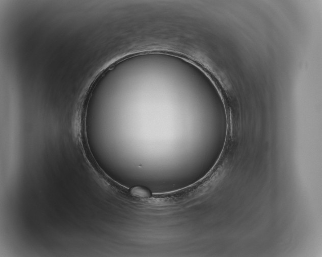 X0000101951500200807251124