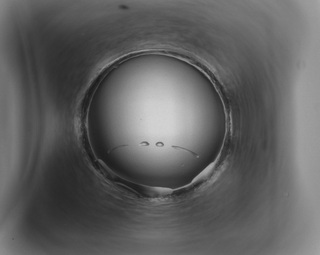 X0000101951501200807251124