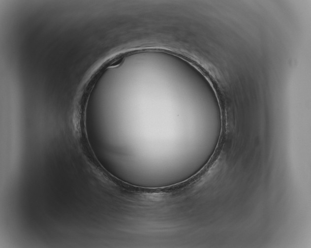 X0000101951502200807251124