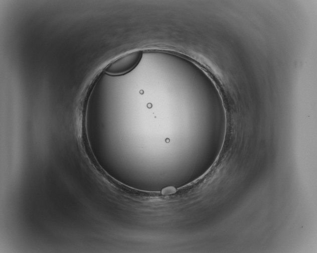 X0000101951504200807251124