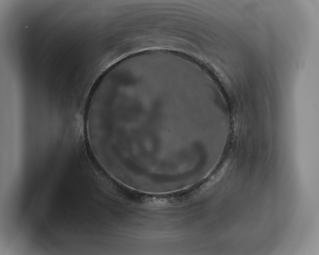 X0000101951505200807251124