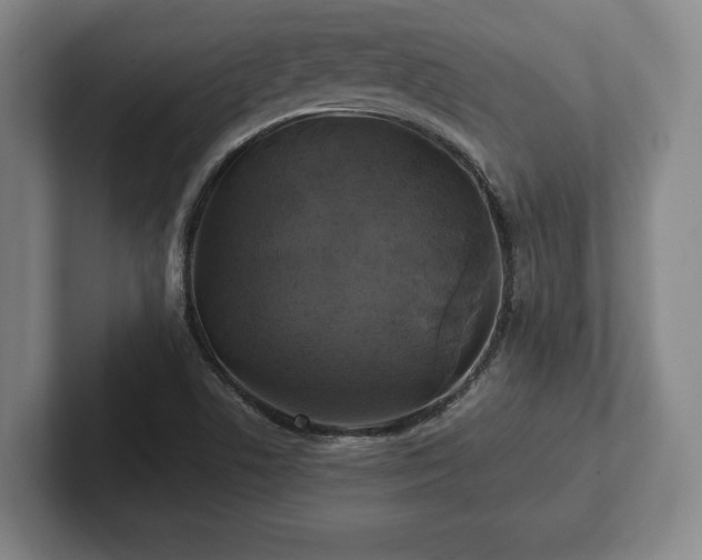 X0000101951506200807251124