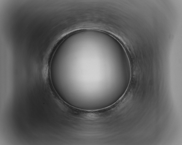 X0000101951507200807251124