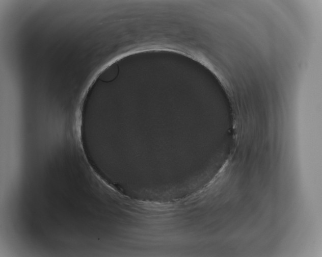 X0000101951508200807251124