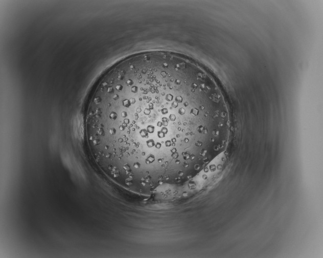 X0000101951509200807251124
