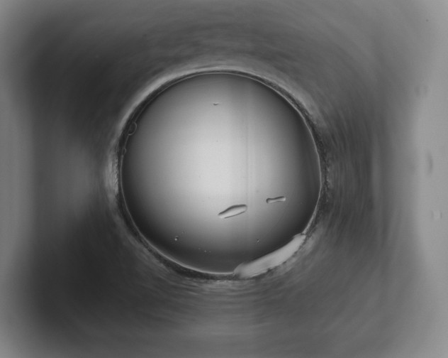 X0000101951510200807251124