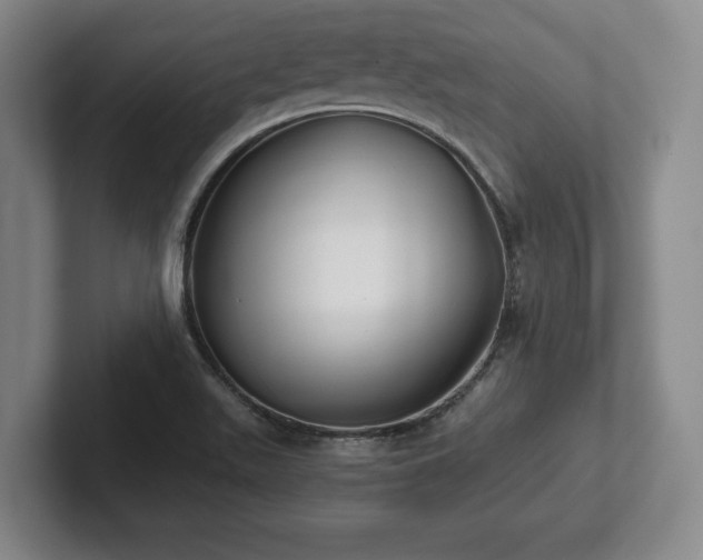 X0000101951511200807251124