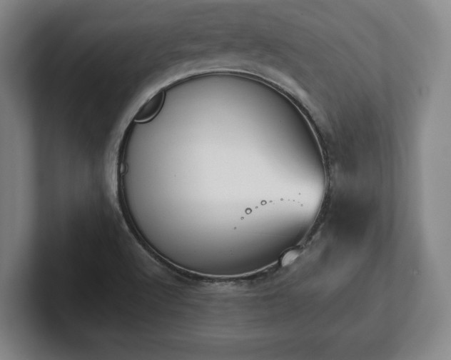 X0000101951512200807251124